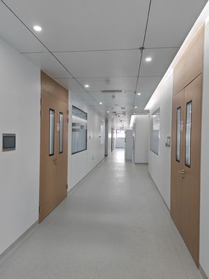 kaufen Holz-Getreide-Stahl-Doppel-Reinigungsraum-Swing-Tür Krankenhaus-Metall-Türen mit Glassicht online manufacture